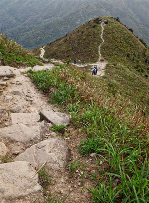 鬼怒坑|香港山澗足印 GoHikingHK: 鬼怒坑、圓墩西坑`*